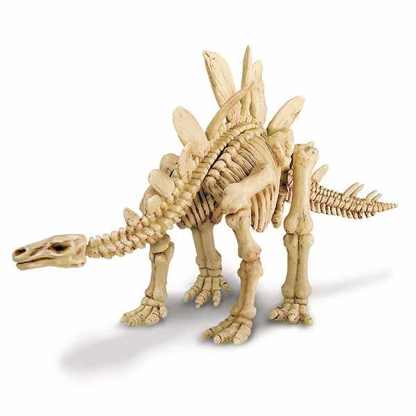 Iskopaj dino stegosaurus